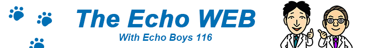 The Echo WEB With Echo Boys 116